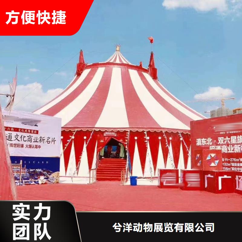 哪里有出租動物的商場活動