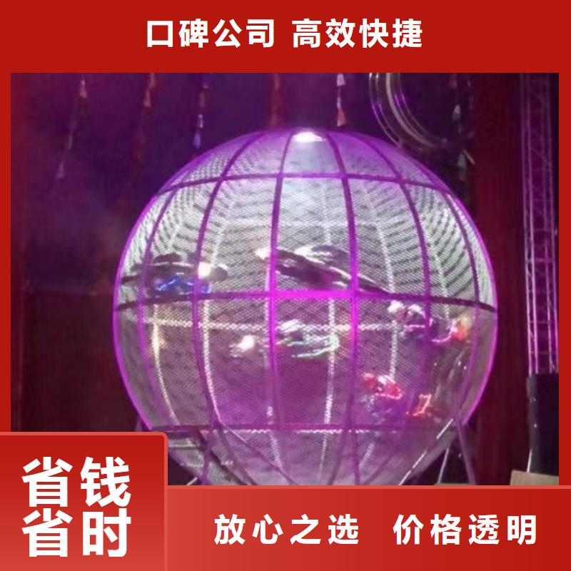 馬戲團(tuán)/羊駝,【【海獅表演租賃】】技術(shù)比較好