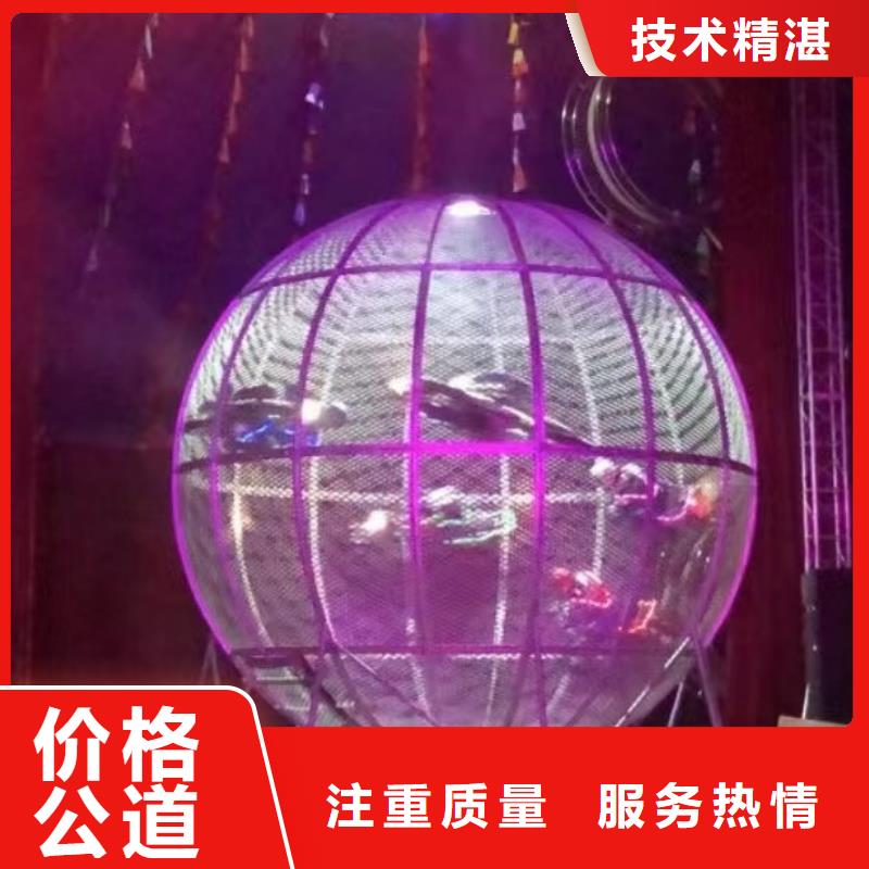 馬戲團/羊駝動物表演租賃實力強有保證