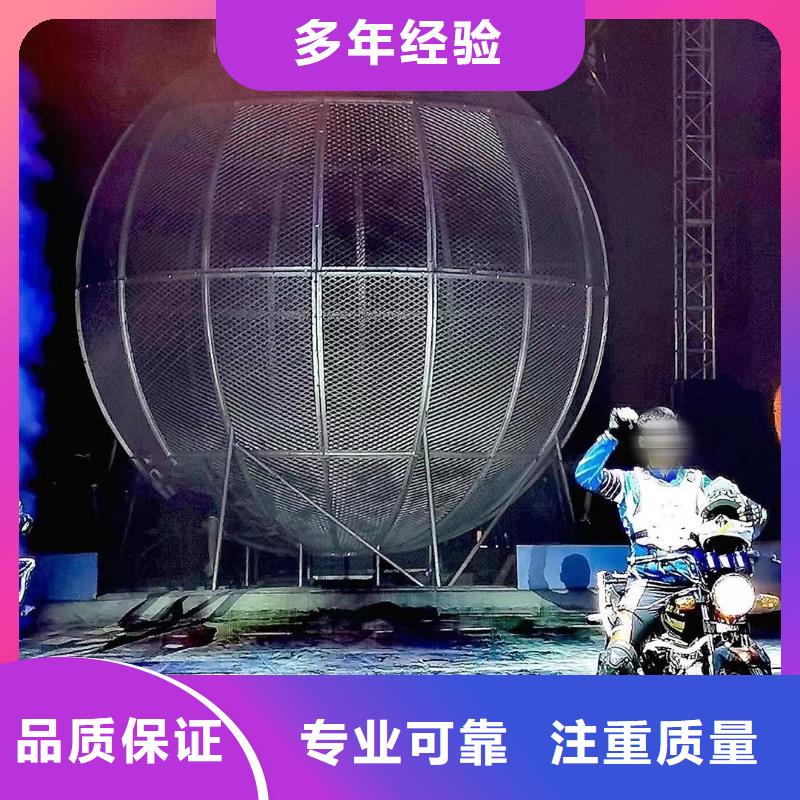 马戏团/羊驼-企鹅租赁技术精湛