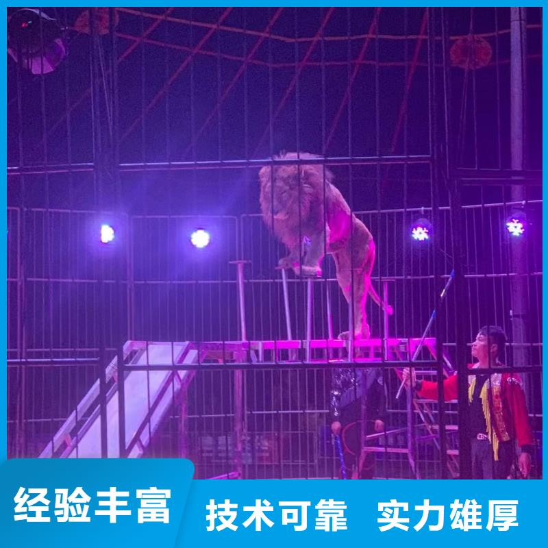 馬戲團(tuán)表演出租公司聯(lián)系方式