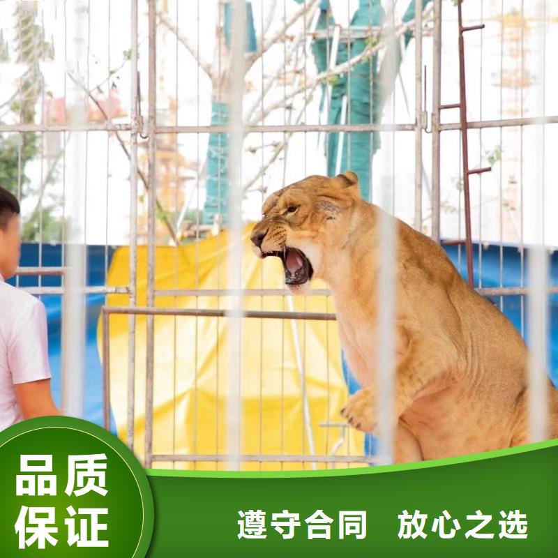 動(dòng)物展出租一手資源