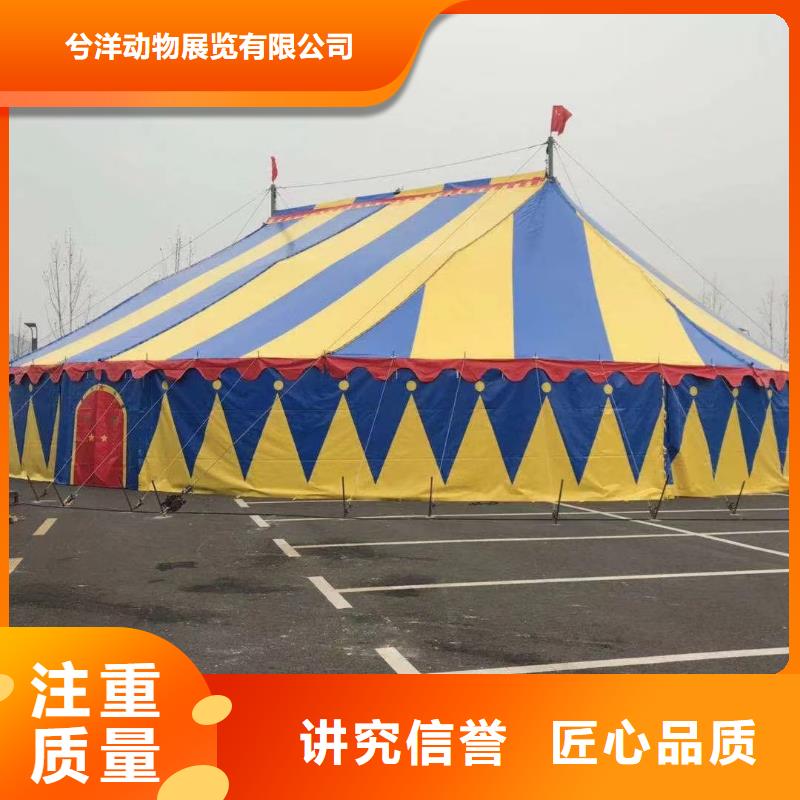 大飛輪表演租賃創意方案