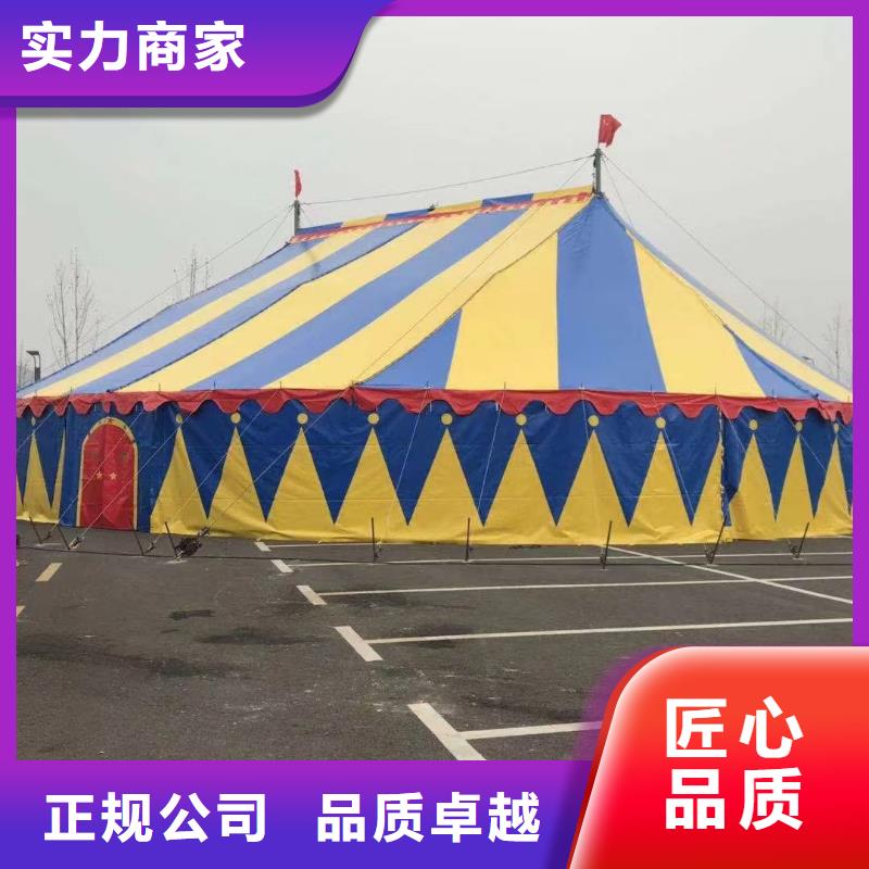 海狮表演出租视频-湖北省黄冈市|武穴|蕲春|十堰|荆州|黄石|随州海狮表演出租-兮洋