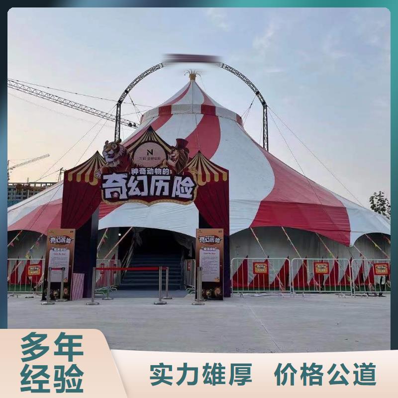 馬戲團(tuán)表演出租活躍氣氛
