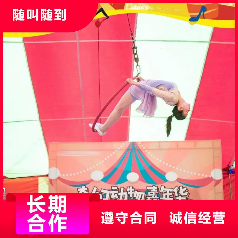 马戏团/羊驼出租表演海狮欢迎询价