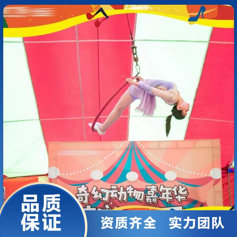 马戏团/羊驼_马戏团表演口碑公司
