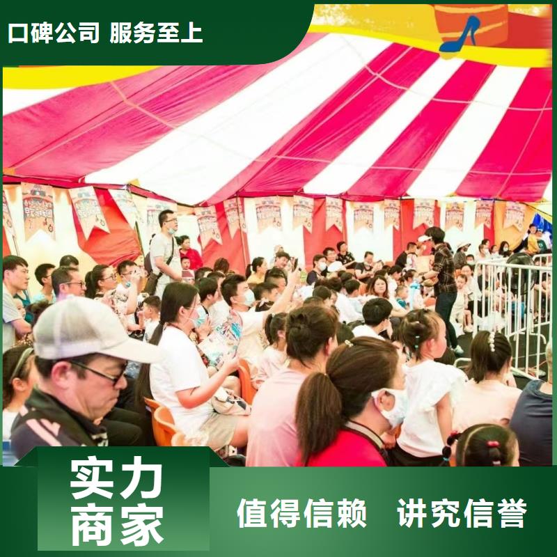 马戏团/羊驼 马戏团表演出租租赁先进的技术