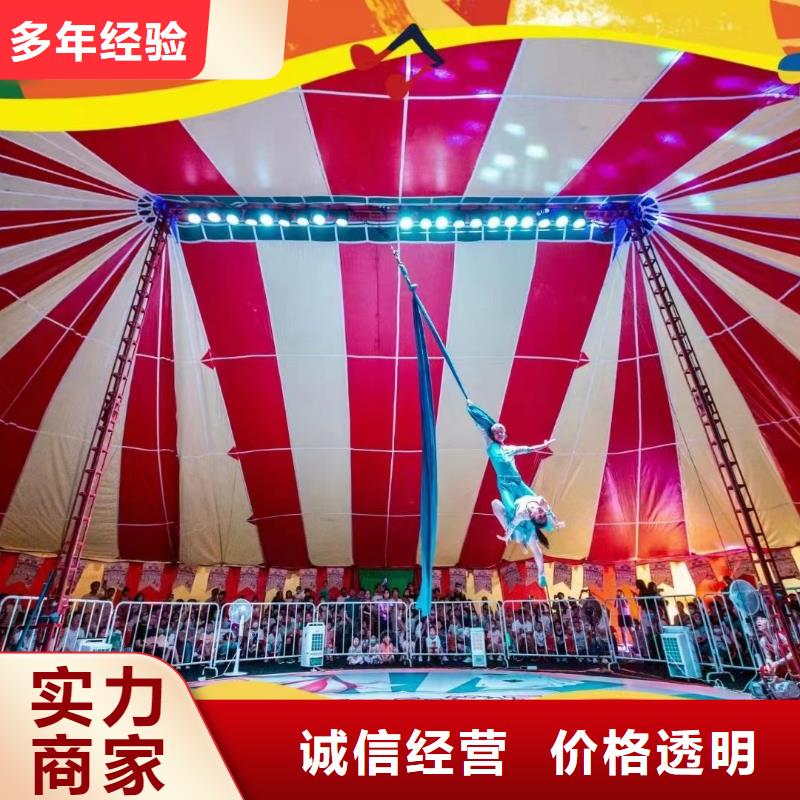 马戏团/羊驼-死轮表演技术好