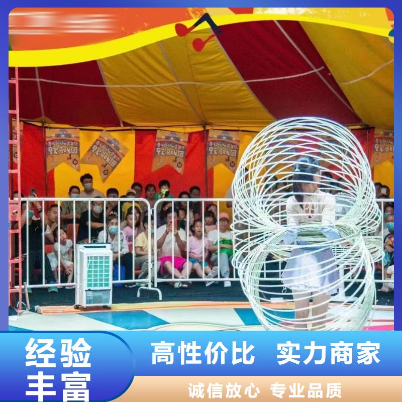 马戏团/羊驼马戏团表演团队