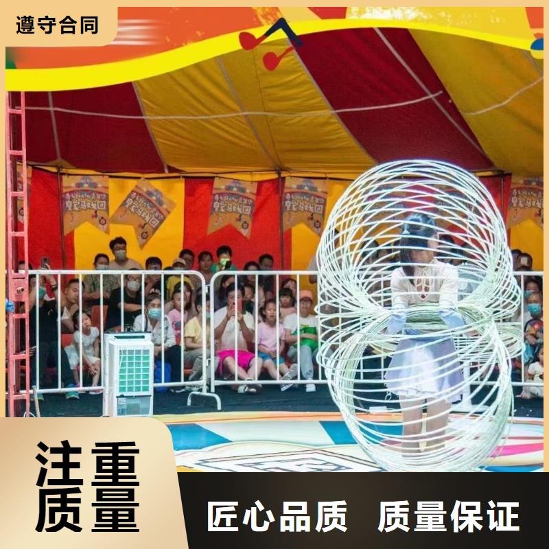 马戏团/羊驼【出租海狮表演】品质优