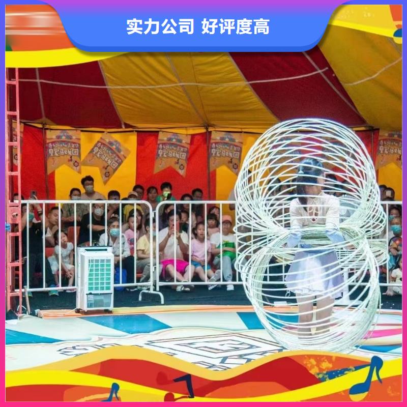 马戏团/羊驼马戏团表演出租租赁齐全