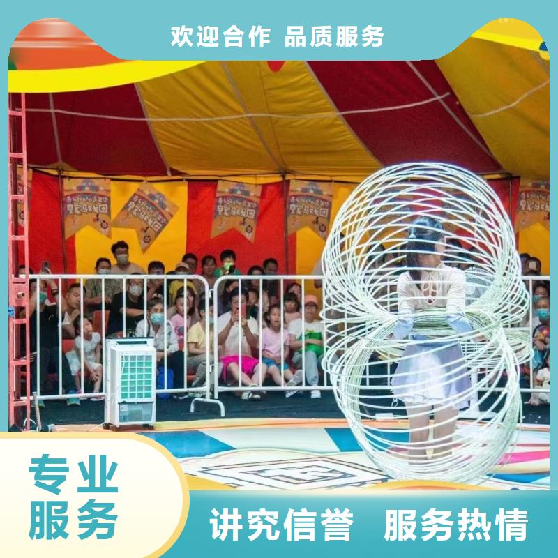 马戏团/羊驼马戏团表演团队