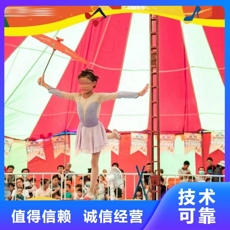 马戏团/羊驼海洋展租赁好评度高