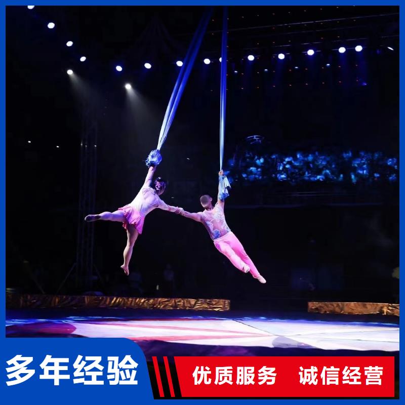 马戏团/羊驼-死轮表演技术好