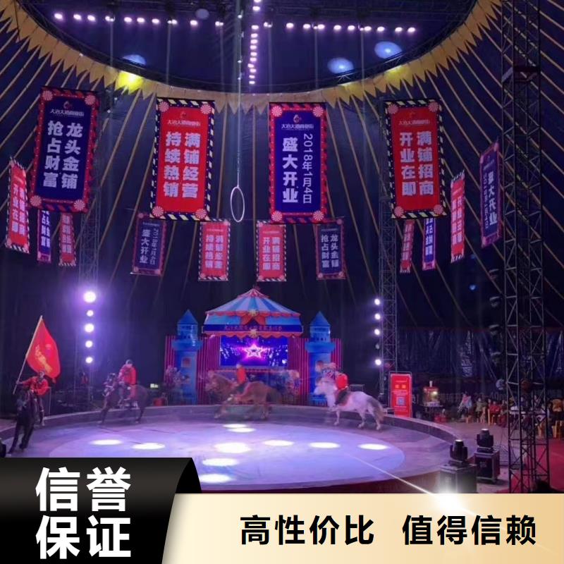 马戏团/羊驼动物表演租赁服务热情