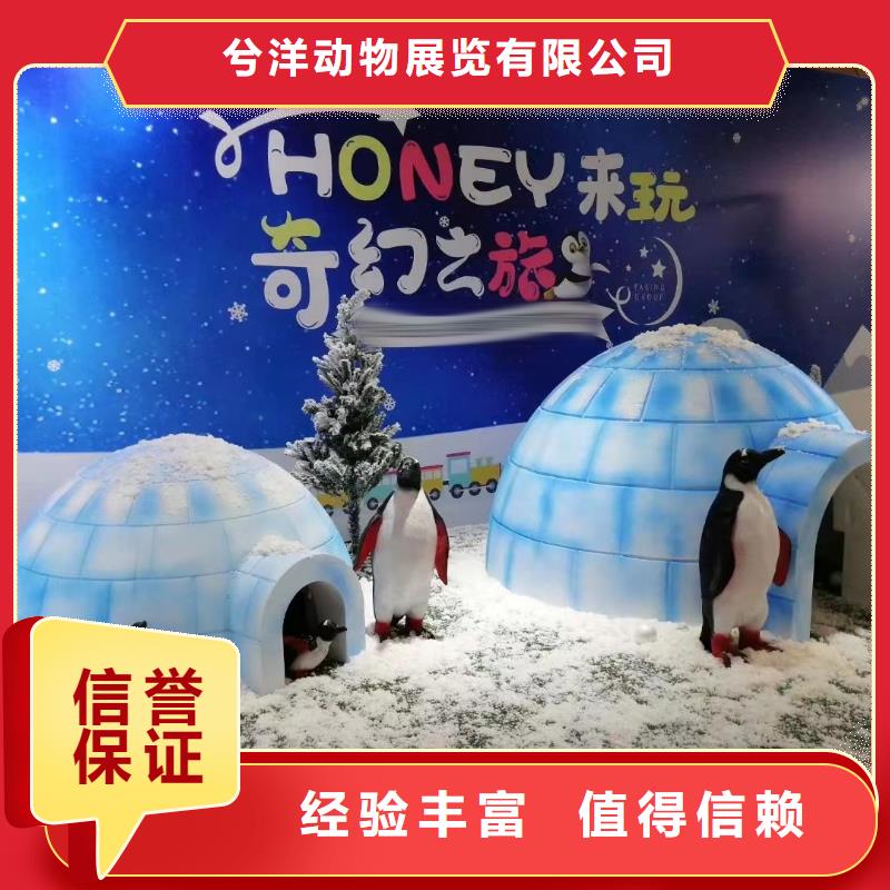 周邊哪有出租企鵝的誠信廠家