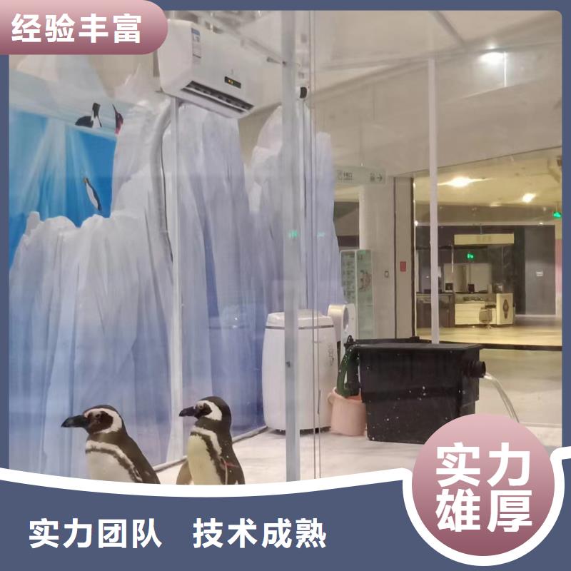 租賃美人魚表演主題展覽