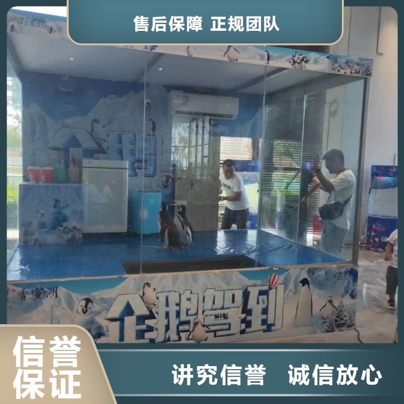 美人魚表演租賃
