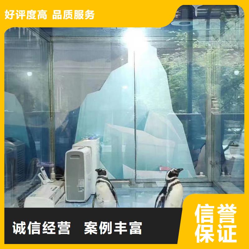 美人魚表演出租公司