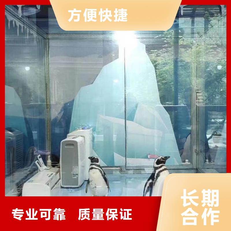 海洋展出租暖场气氛