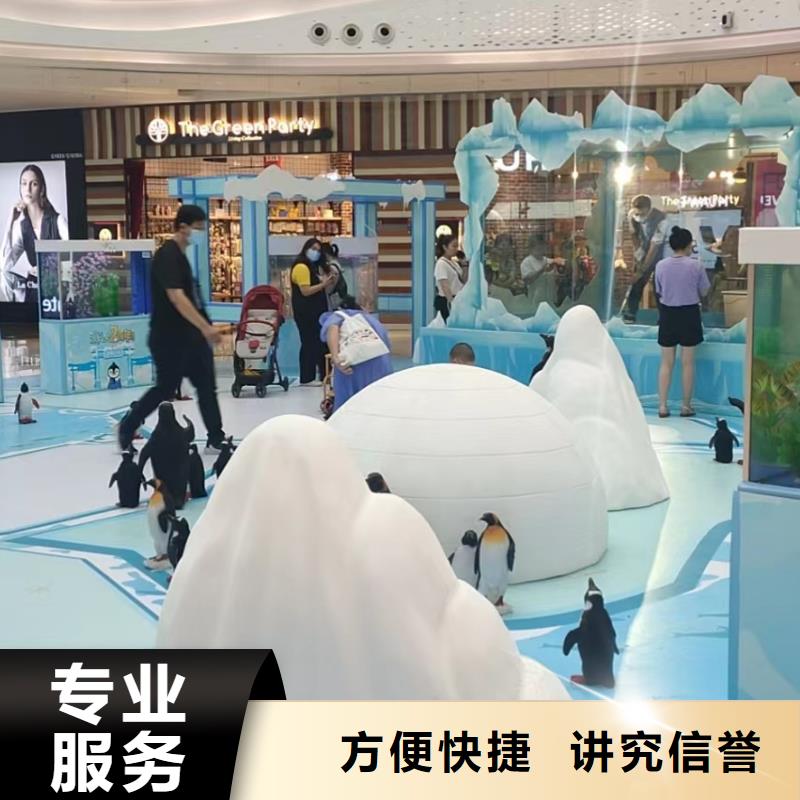 海洋主題動物表演企鵝租賃經驗豐富