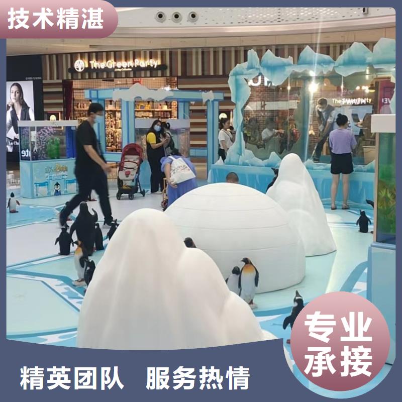 海洋主题动物表演海狮表演出租良好口碑