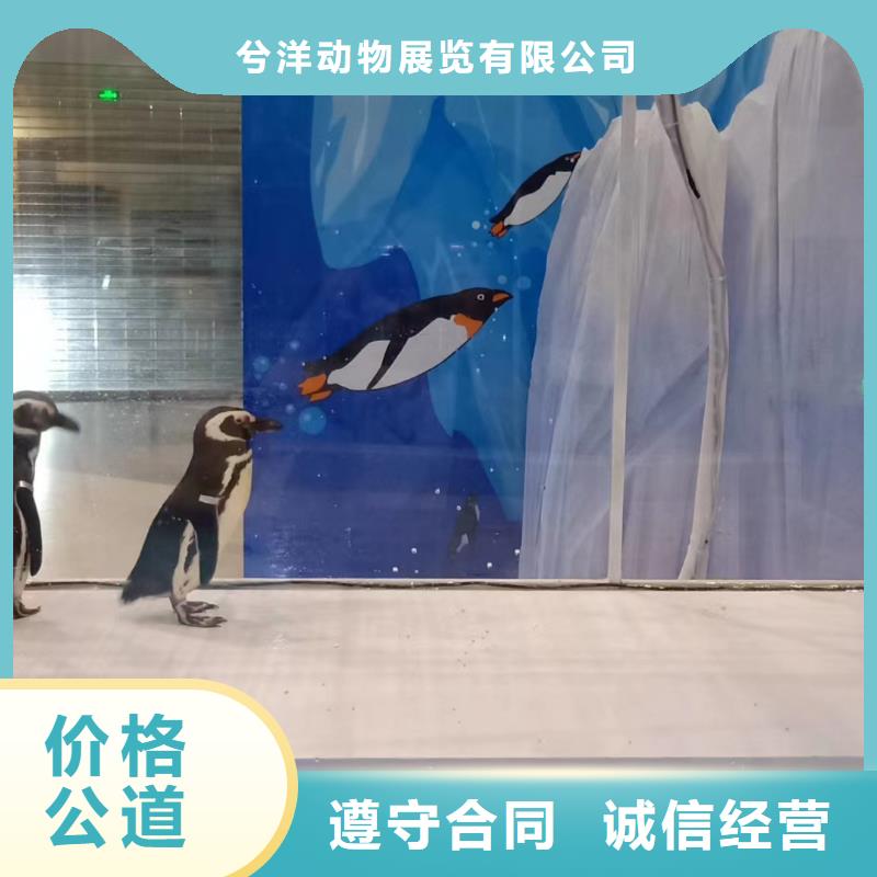 海獅表演租賃