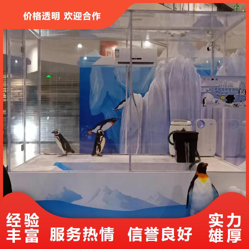 出租海獅表演聯(lián)系方式
