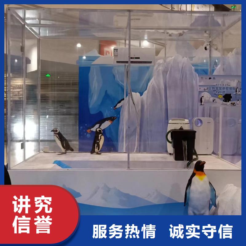 海獅表演電話