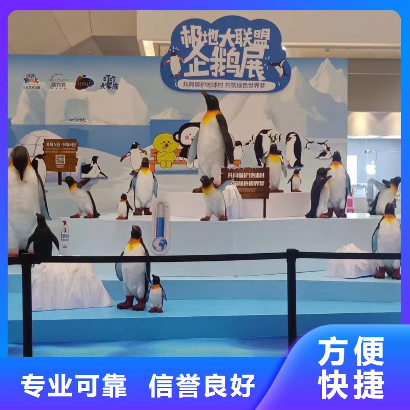 海狮表演出租视频-海狮表演出租-兮洋动物展览(辽宁省分公司)服务区域辽阳|营口|沈阳|本溪|鞍山|大连|丹东