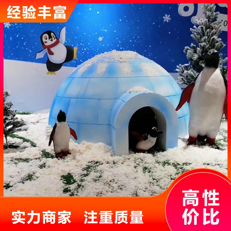 海洋主题动物表演,羊驼出租公司
