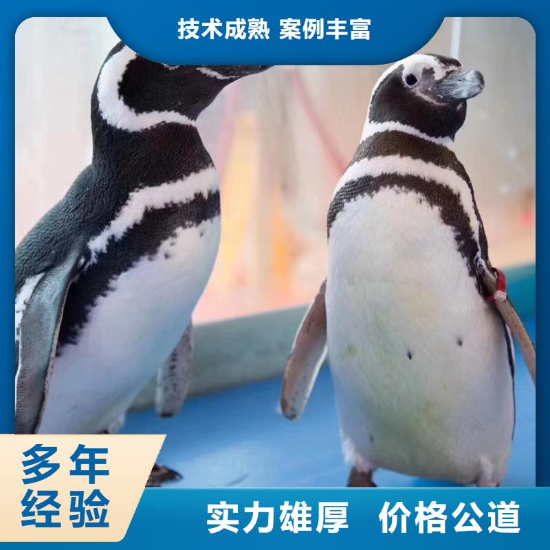 海洋生物展租賃全國(guó)承接