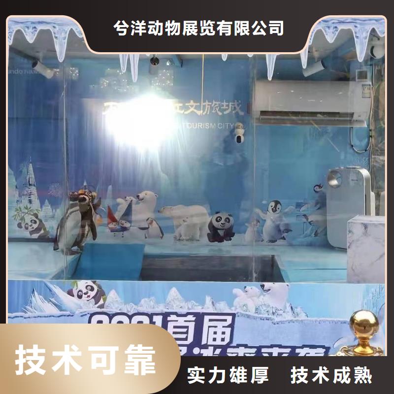 美人魚表演出租