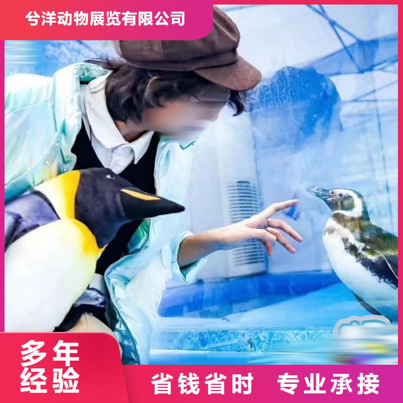 海洋生物展租赁商场活动