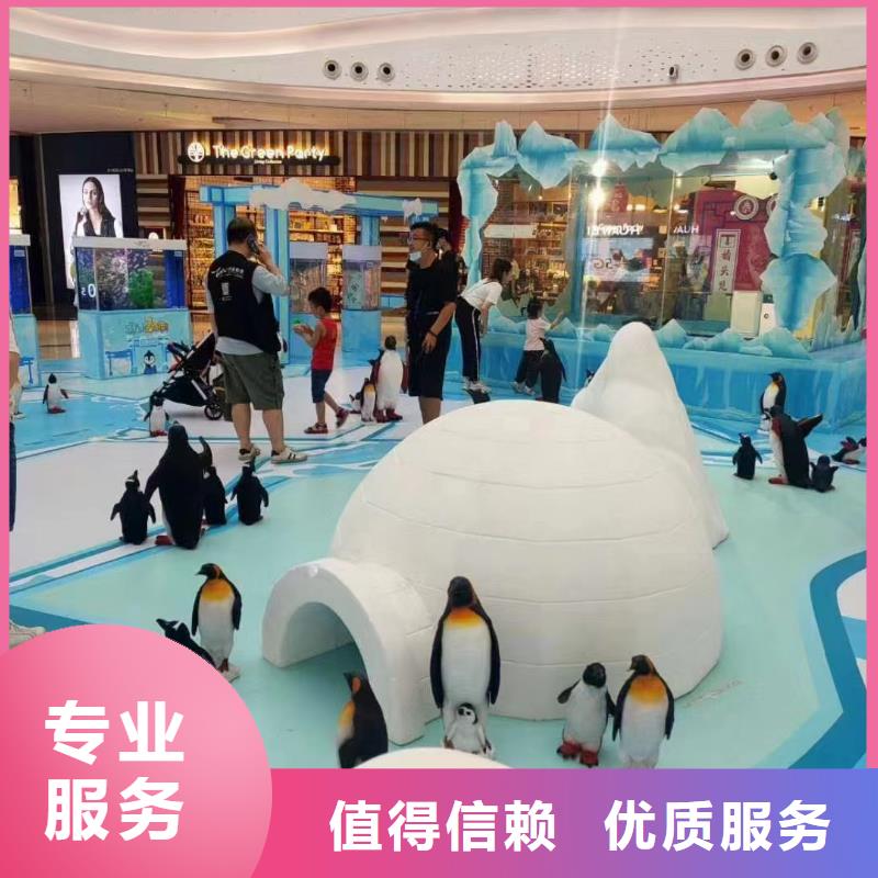 海狮表演出租视频-海狮表演出租-兮洋动物展览(保山市分公司)服务区域隆阳|昌宁|红河|西双版纳|怒江|昭通|普洱