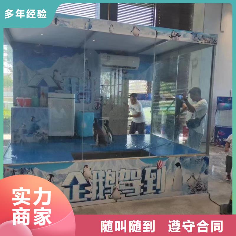 海洋主题动物表演【美人鱼出租演出】价格美丽