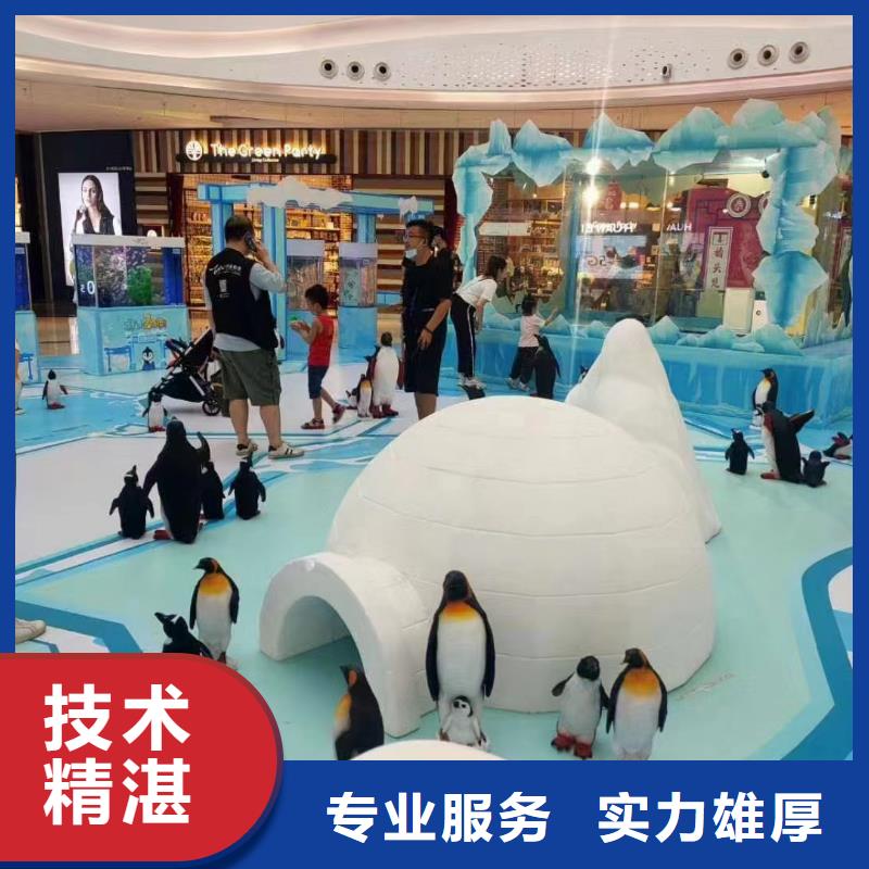 海洋主題動物表演-海洋展租賃省錢省時