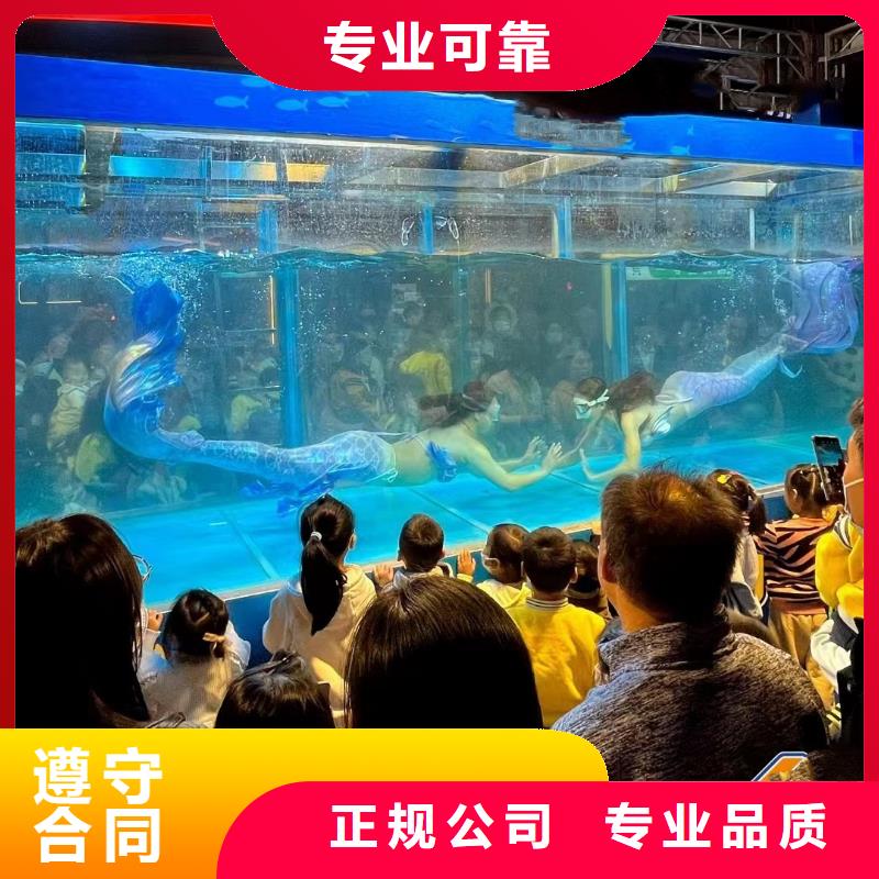 海洋主题动物表演【海狮表演】行业口碑好