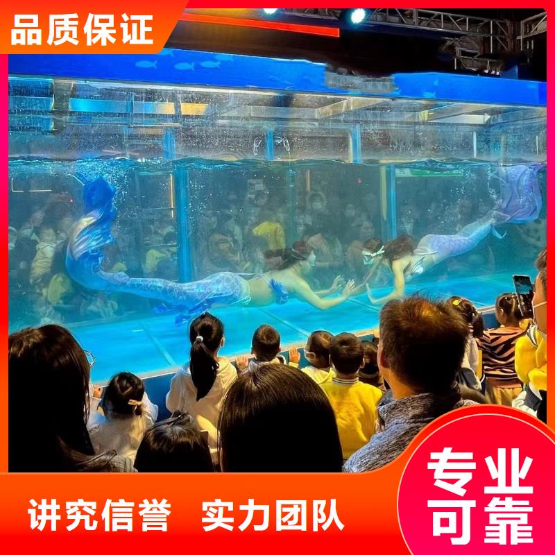 高質量海獅表演租賃供應商