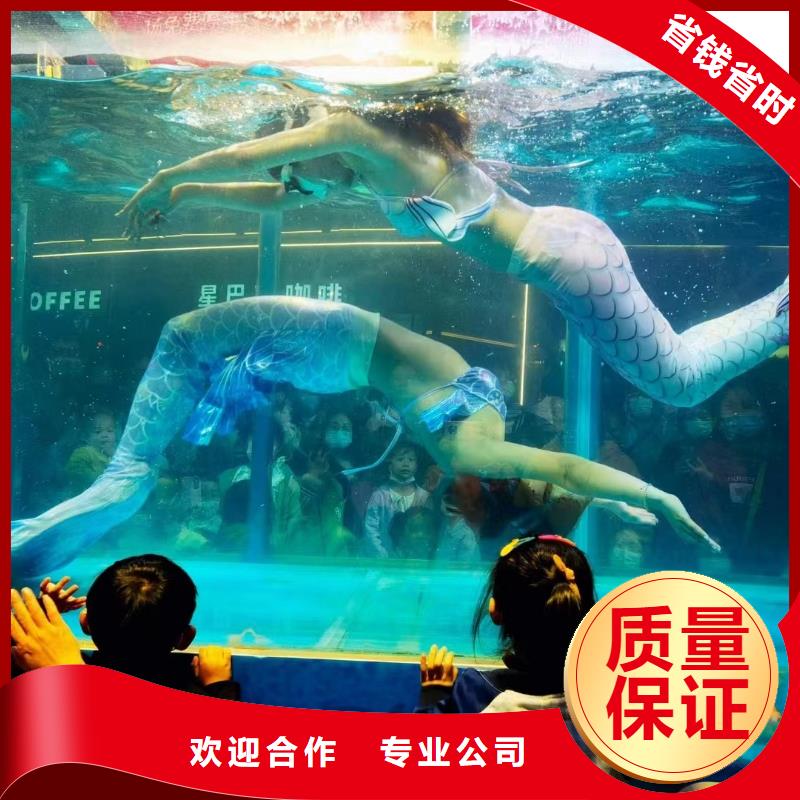 海洋主題動物表演-房地產開盤慶典明碼標價
