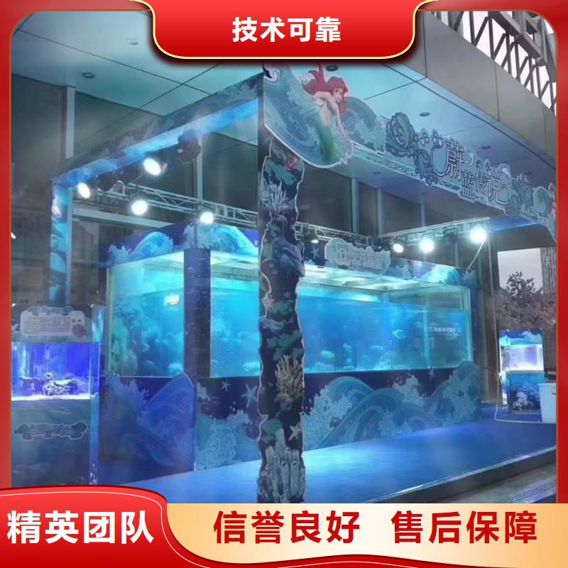 海洋主題動物表演馬戲團表演出租租賃24小時為您服務
