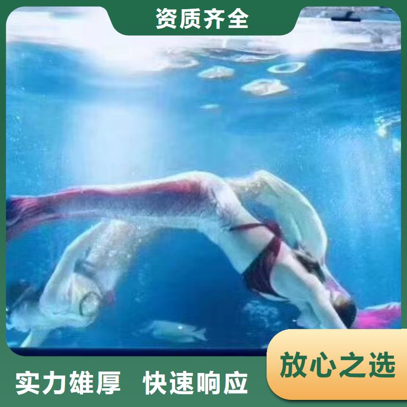 海洋主題動物表演,【【海獅表演出租】】實力團隊