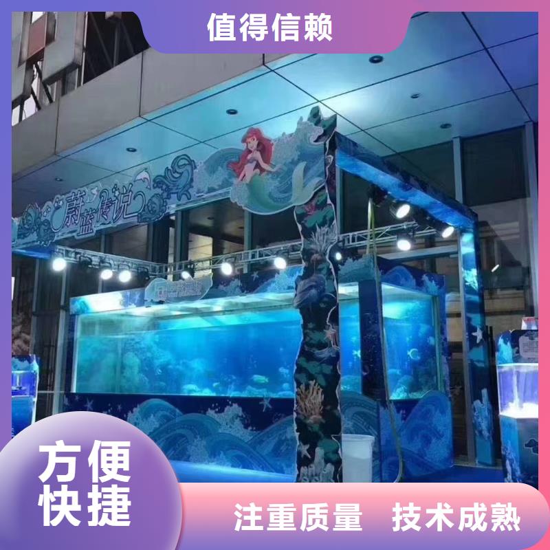 企鵝出租豐富多彩