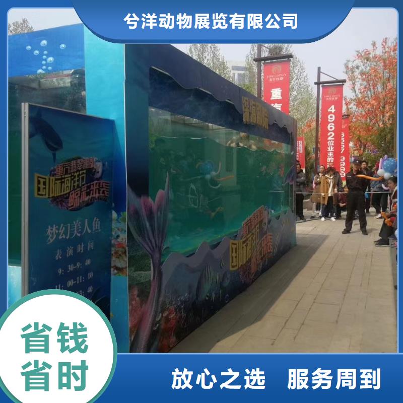 美人魚表演租賃聯系方式