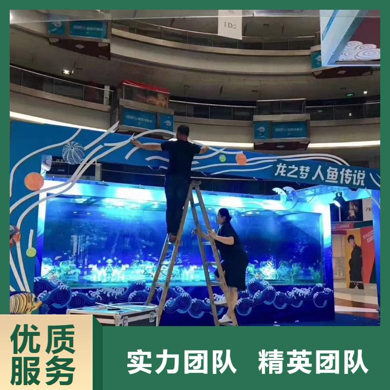 周邊哪有出租企鵝的誠信廠家