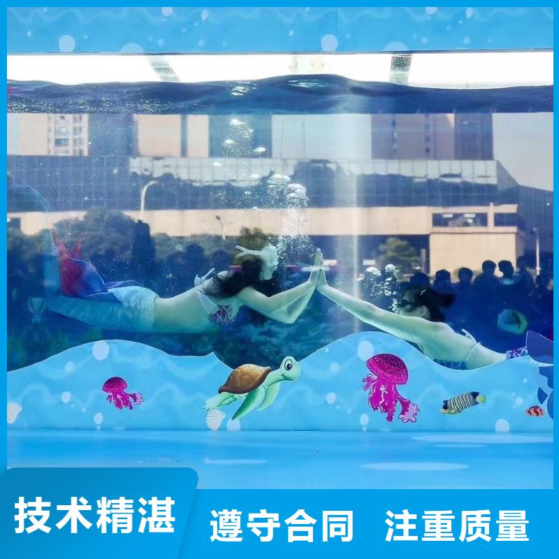 海洋主题动物表演,【企鹅演出】服务周到