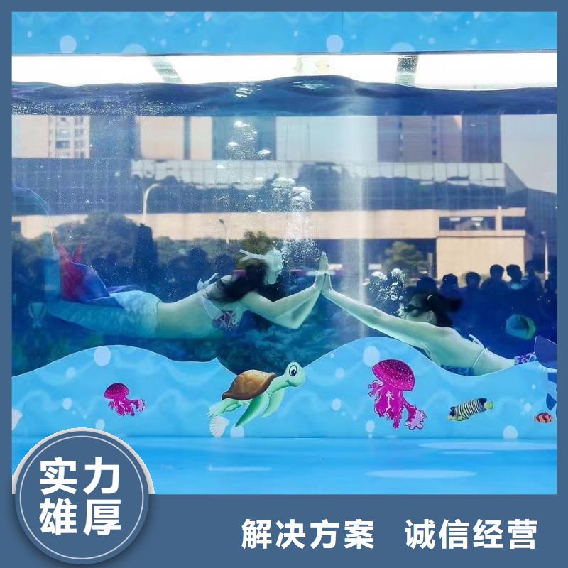 海洋主题动物表演企鹅租赁经验丰富