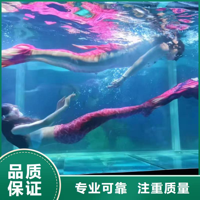 海洋主題動物表演馬戲團表演靠譜商家