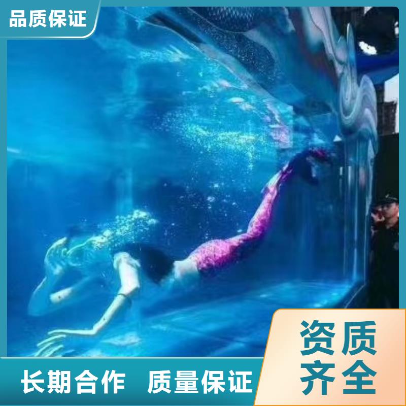 海洋主题动物表演出租海狮表演长期合作